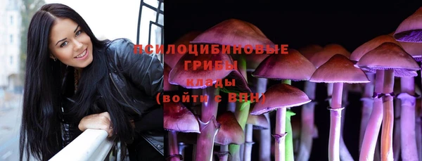 прущие крисы Горняк