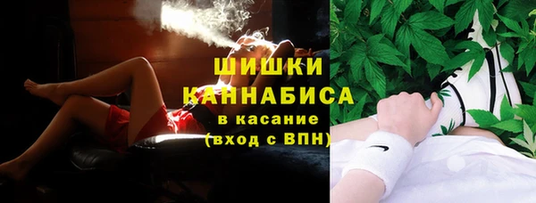 прущая мука Вяземский