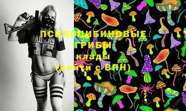 прущая мука Вяземский